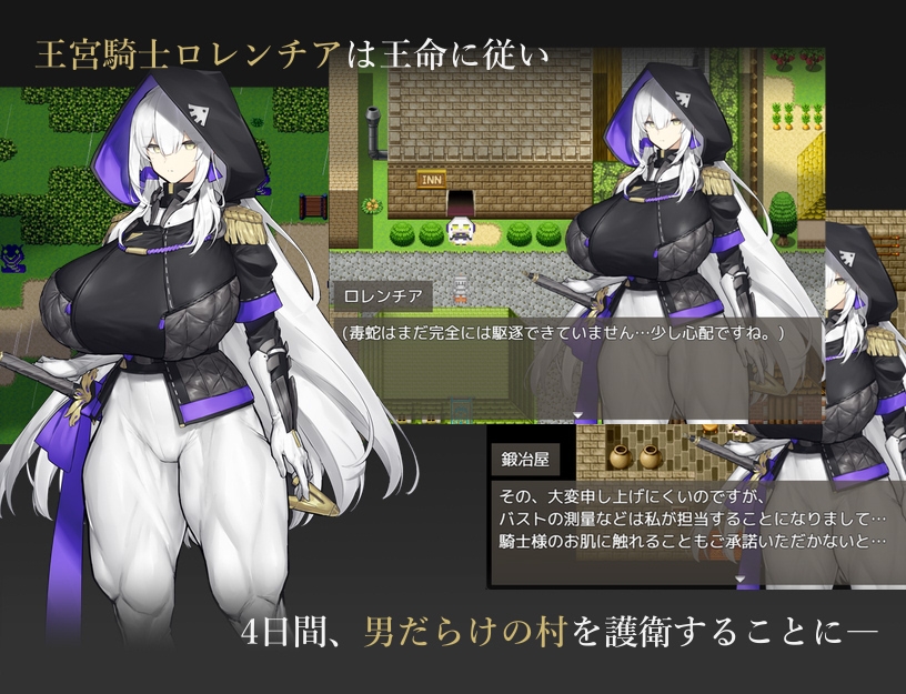 王宮騎士のリスクヘッジ [瀧音MELO]