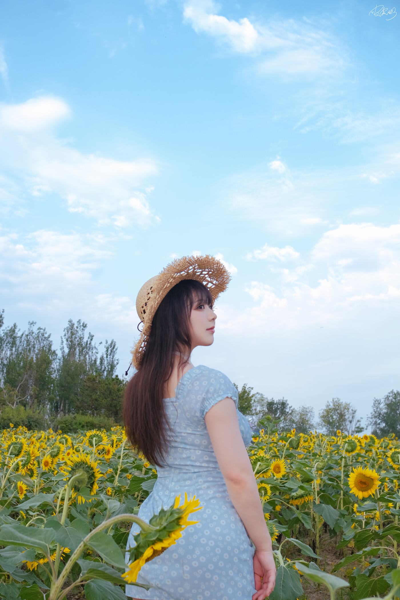 皮皮奶可可爱了啦  彼女向日葵[35P/250MB]插图1