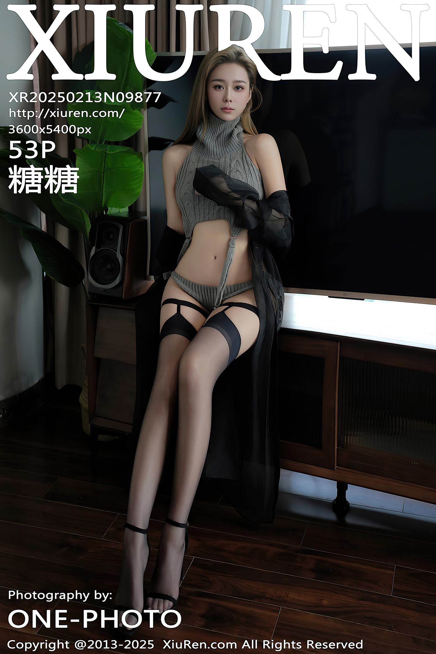 [Xiuren秀人网]2025.02.13 NO.9877 糖糖❤[53+1P/515MB]插图1