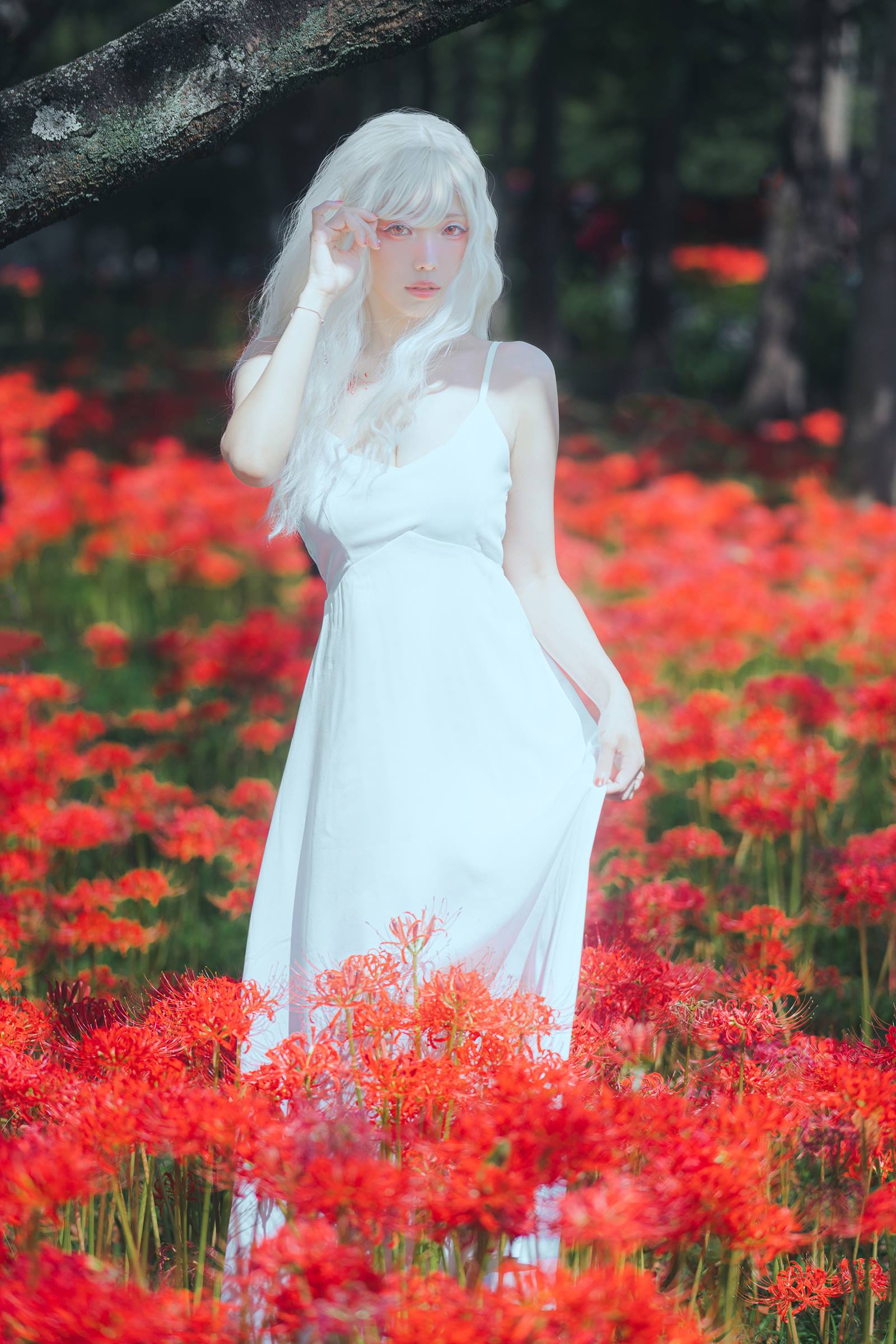 ElyEE子 23年10月订阅 [86P/2V/302MB]插图1