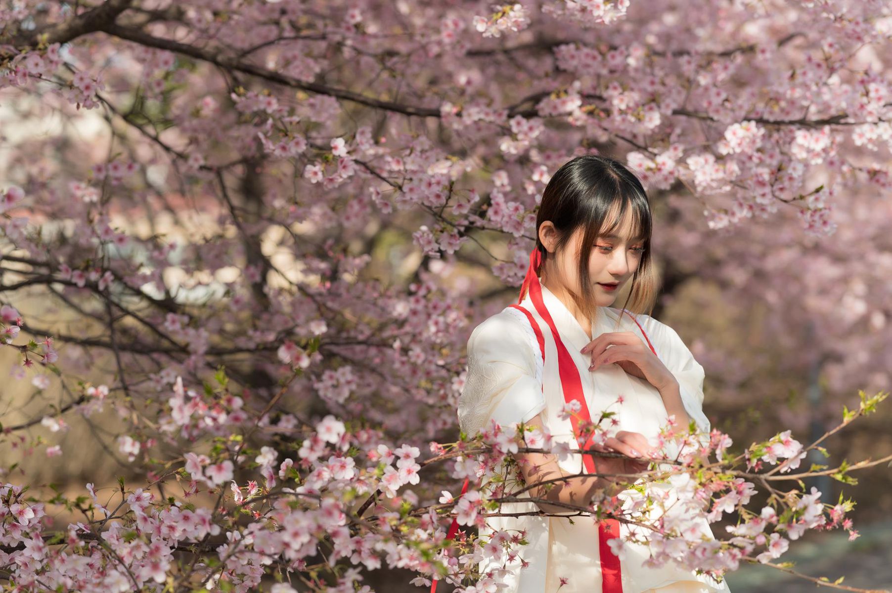 人气Coser@兔子Zzz不吃胡萝卜 樱语[27P/230MB]插图1