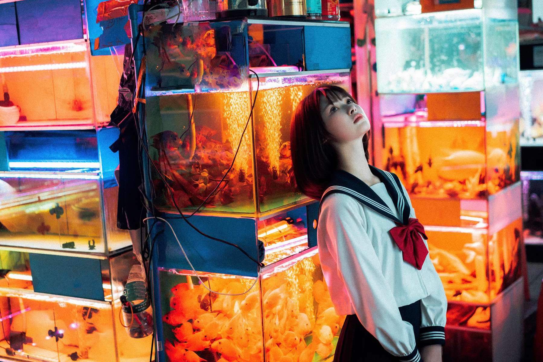 网紅Coser@河豚抚子 金鱼JK [15P/396MB]插图1