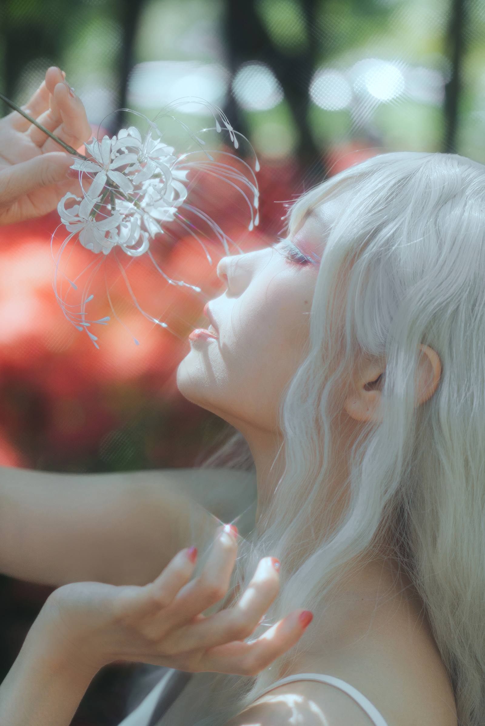 ElyEE子 B-White spider lily 白瓷彼岸 [27P/83MB]插图1